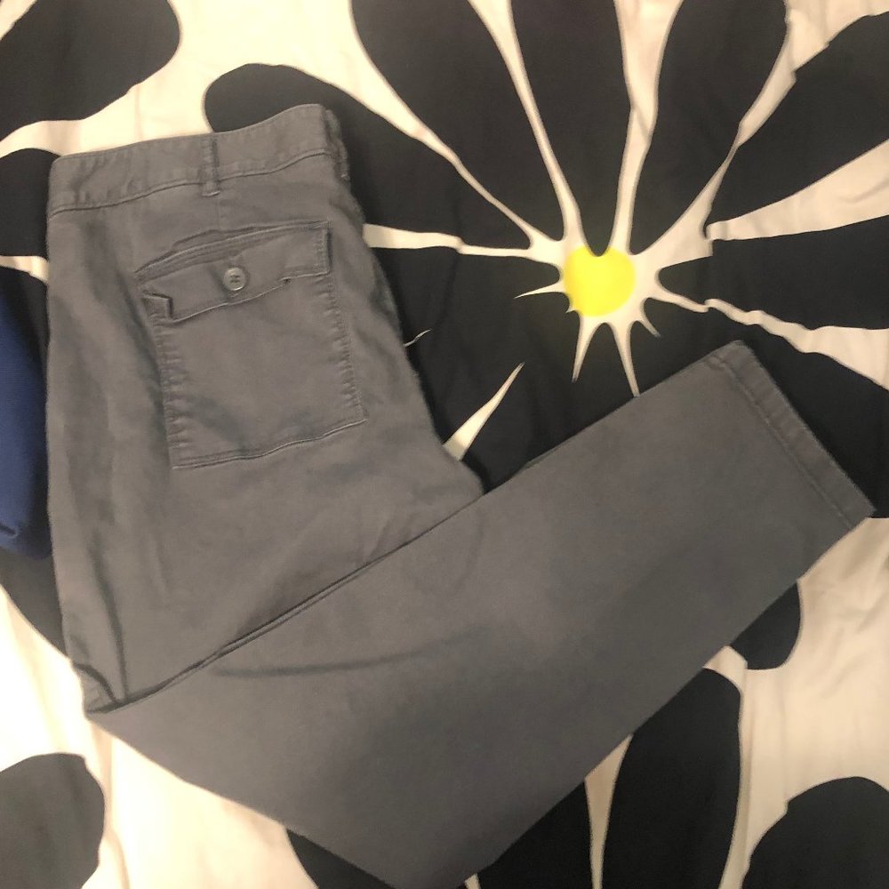 blue loft skinny pant